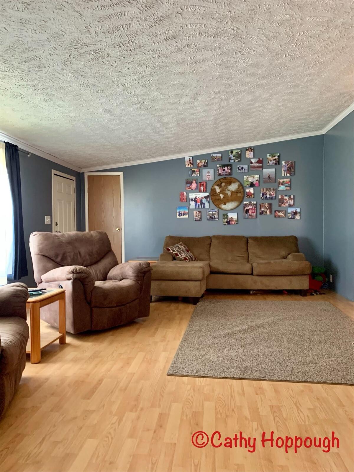 4820 Olmstead Road Ionia, MI 48846 - Photo 5 of 22 20F36756-B37D-4C1B-8B26-8DC1E9EA33D4