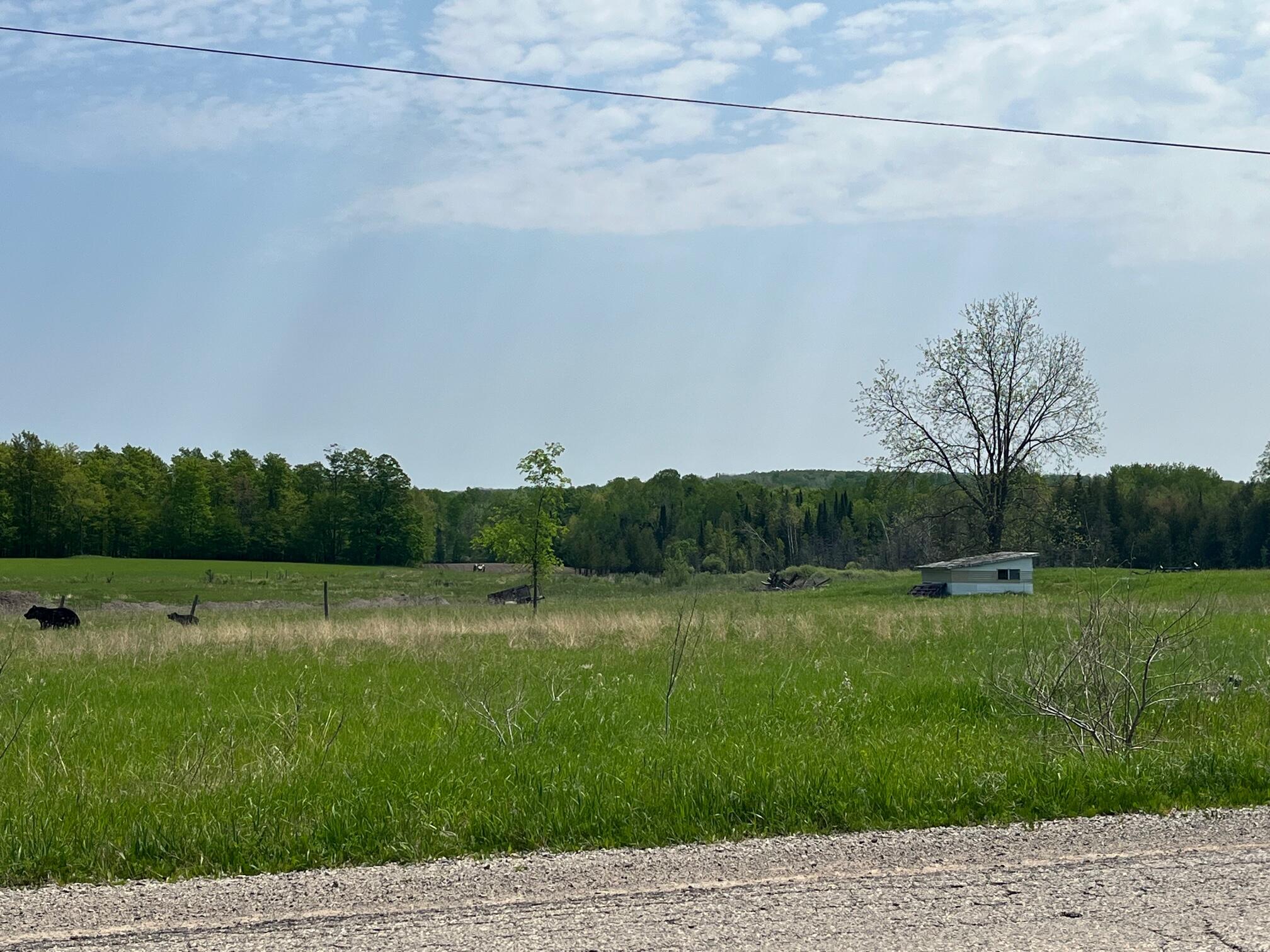 Afton Road Afton, MI 49705 - Photo 14 of 16 Gallery Image 14