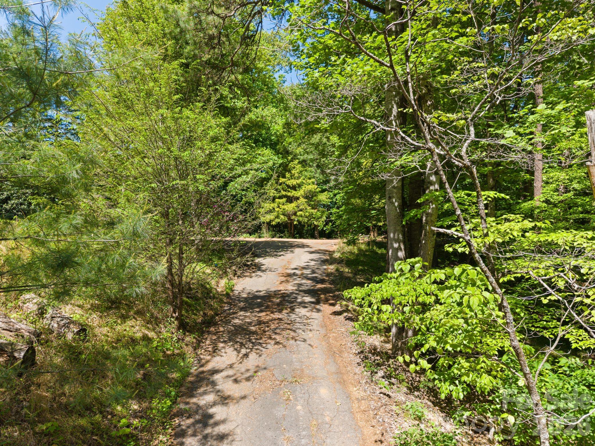 31 White Bridge Road Weaverville, NC 28787 - Photo 14 of 14