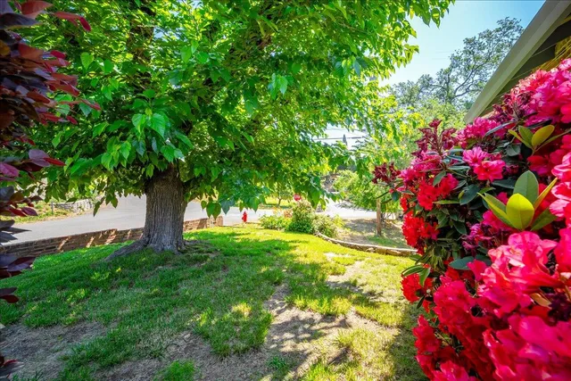 a front view of a building with a window