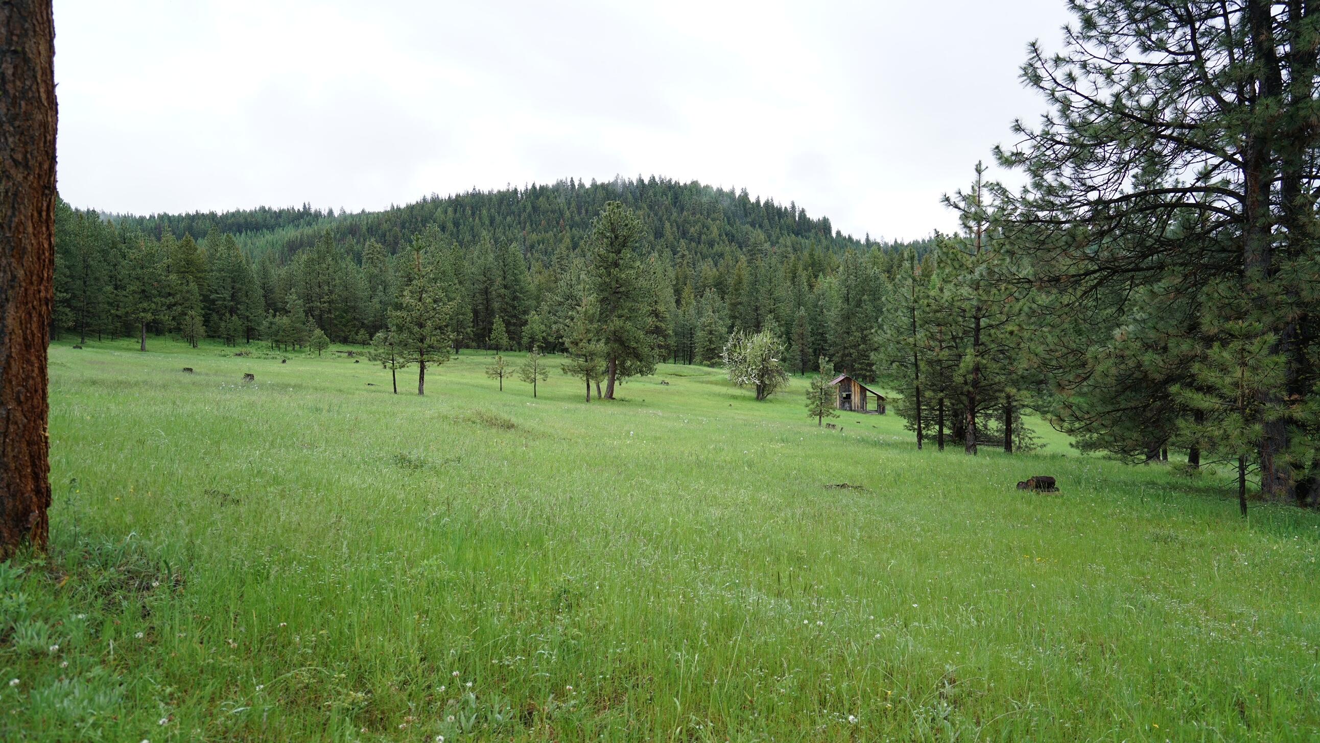 214 Forest Road Bates, OR 97817 - Photo 24 of 34 DSC02334