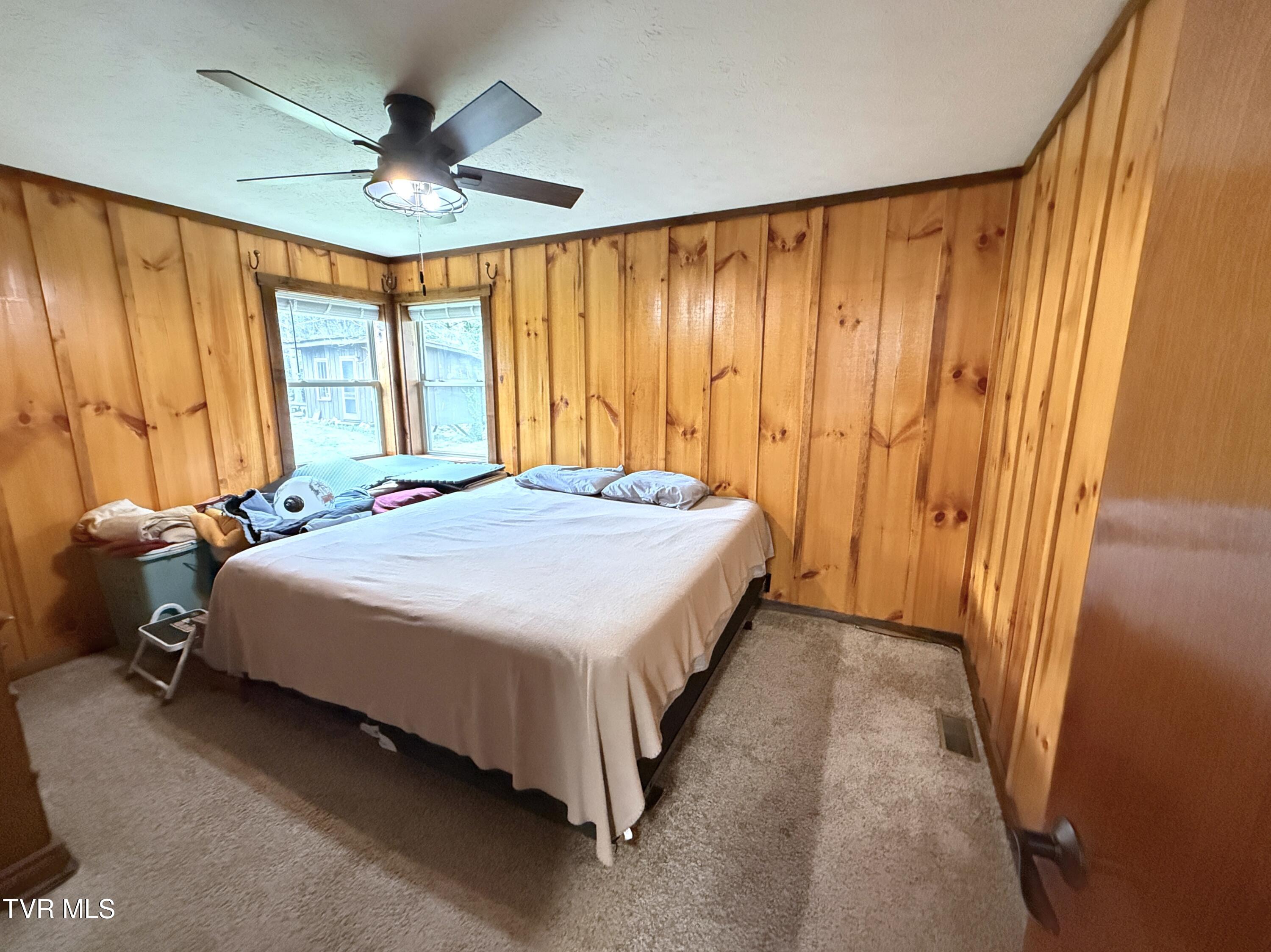 1059 Blue Mill Road Del Rio, TN 37727 - Photo 17 of 27 17
