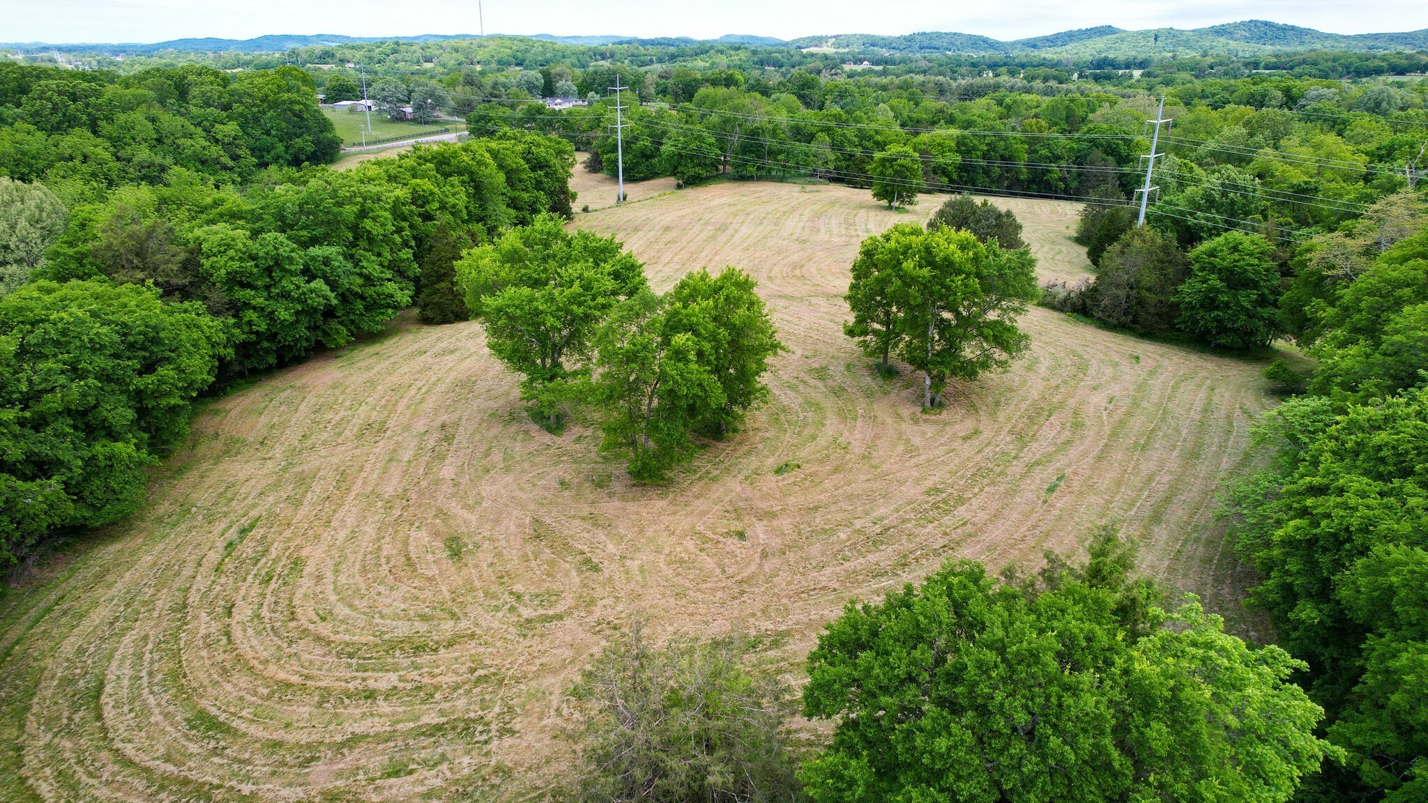 8260 Hawkins Road College Grove, TN 37046 - Photo 21 of 29 Gallery Image 21