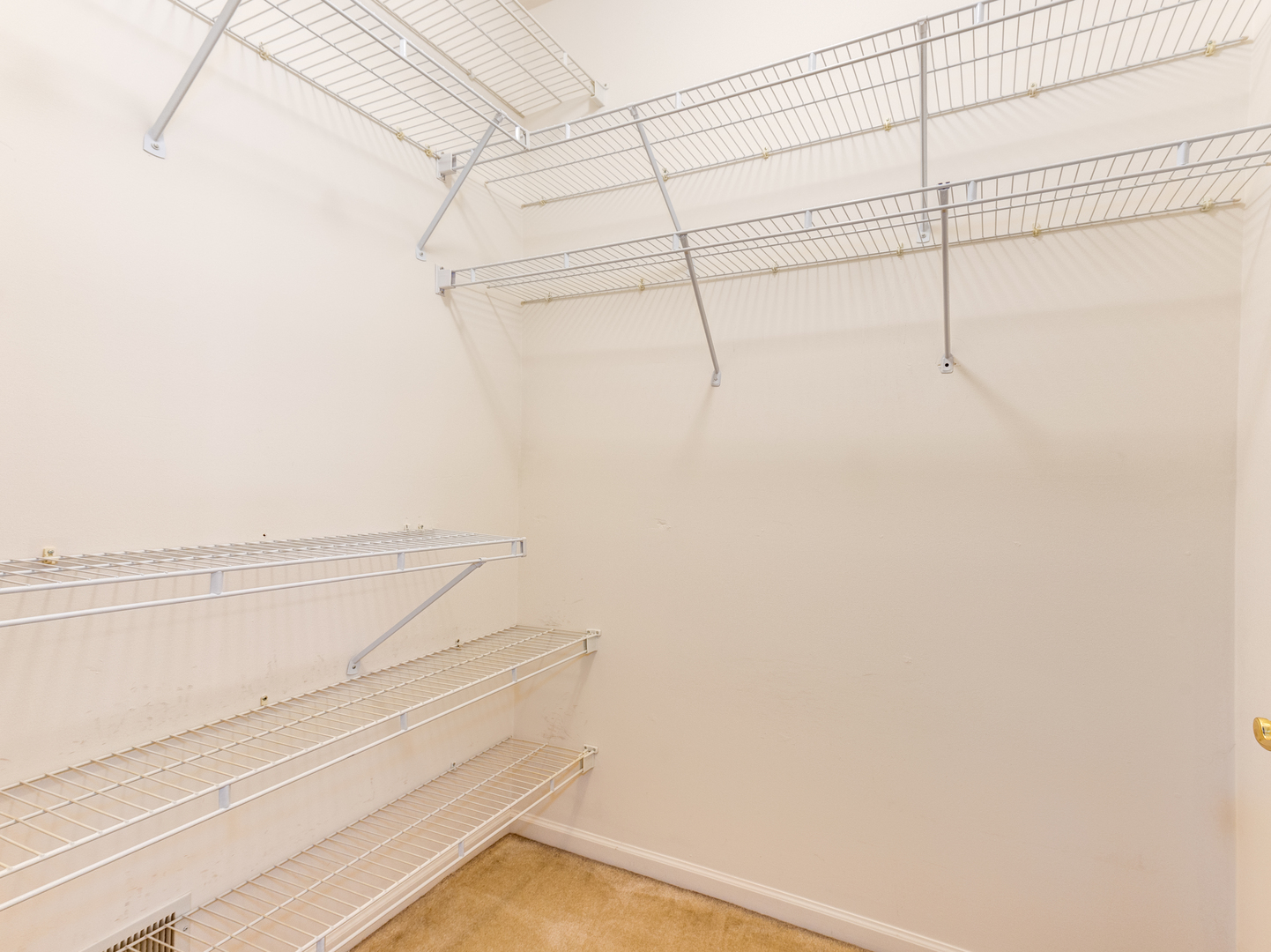 259 Firenze Drive Cary, IL 60013 - Photo 12 of 28