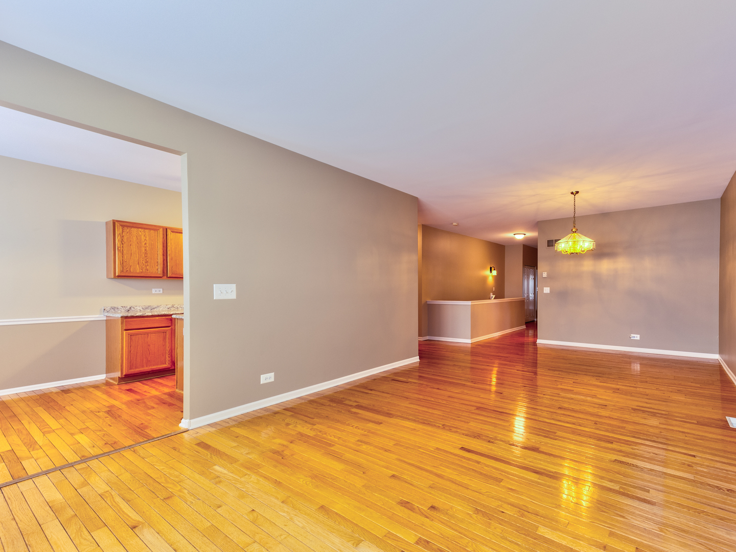 259 Firenze Drive Cary, IL 60013 - Photo 9 of 28