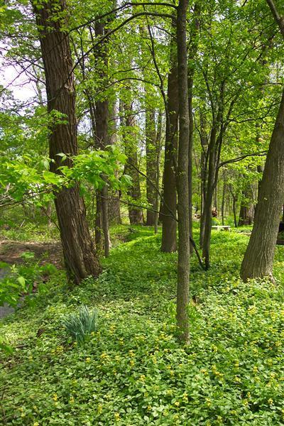19007 South Martin Road Three Oaks, MI 49128 - Photo 17 of 24 Additional Photo