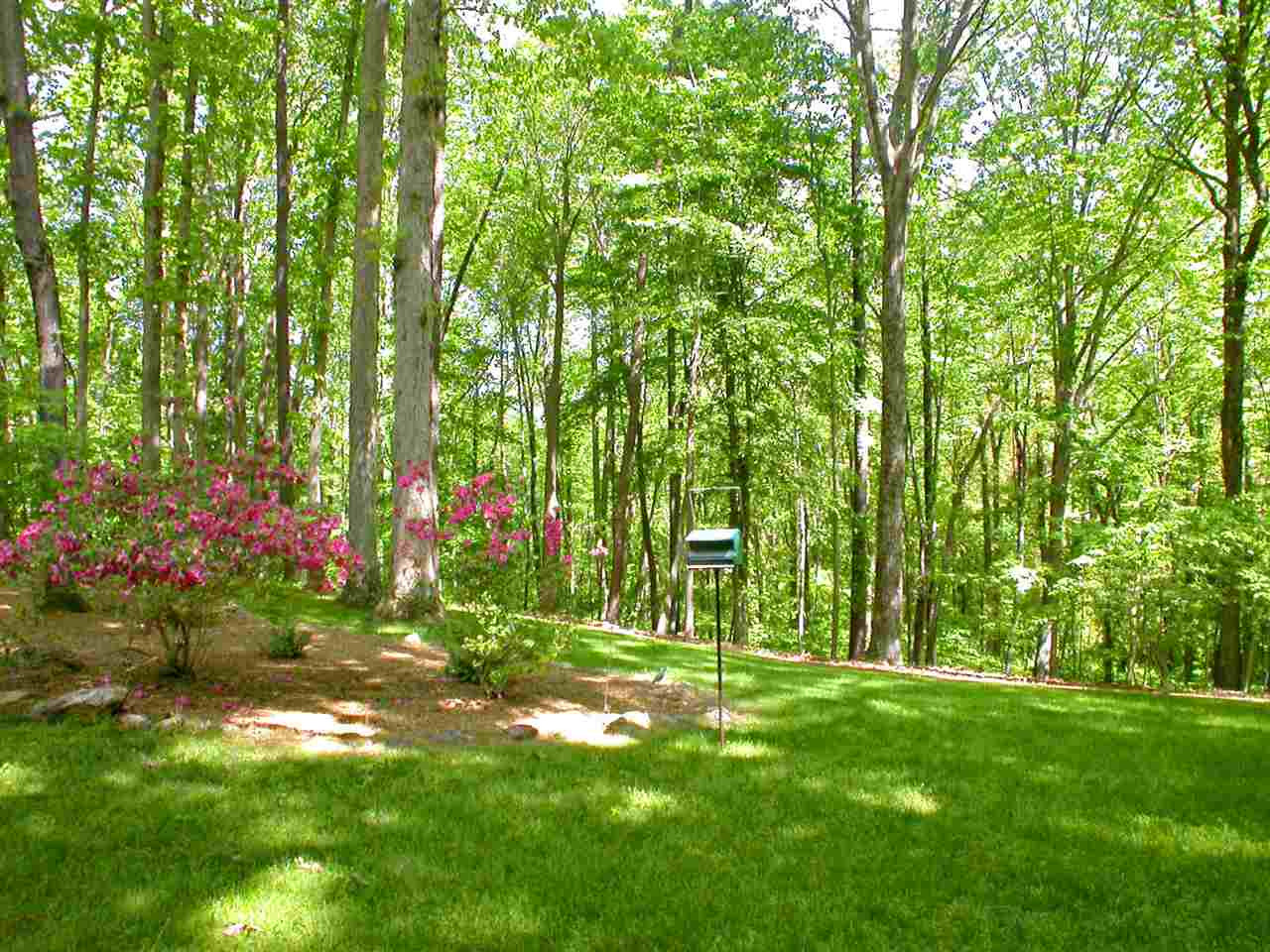 11812 Mountbatten Way Raleigh, NC 27613 - Photo 22 of 25 No homes will ever be built back this home - HOA owns the land. View