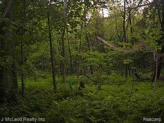 0 Maple Grove Road Silverwood, MI 48760 - Photo 1 of 1 Property Photo