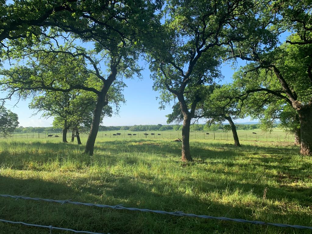 1575 Knopp School Road Fredericksburg, TX 78624 - Photo 2 of 5 Gallery Image 2