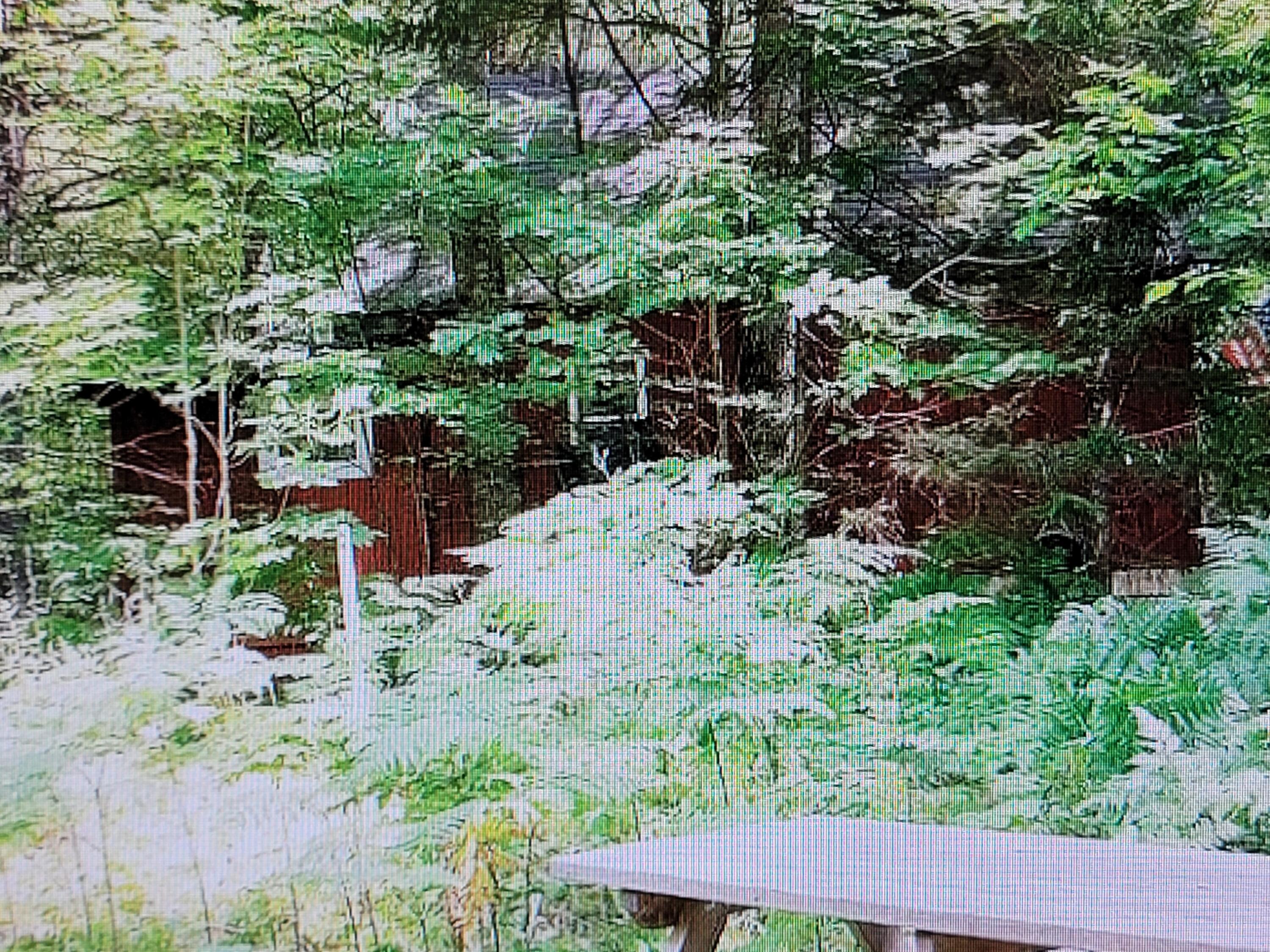 4709 Airline Road Wesley, ME 04686 - Photo 27 of 33 20220603_131739