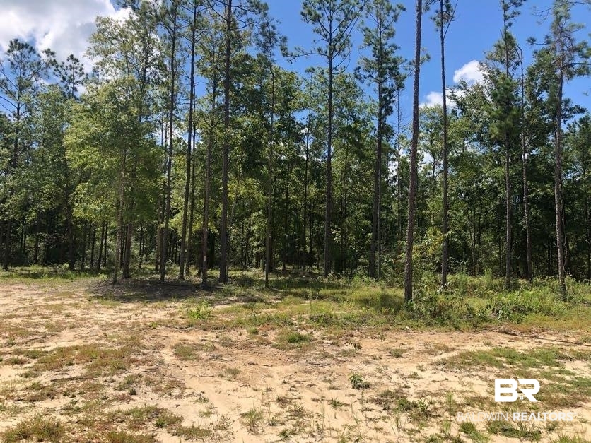12359 Red Hill Rd Extension Bay Minette, AL 36507 - Photo 9 of 16