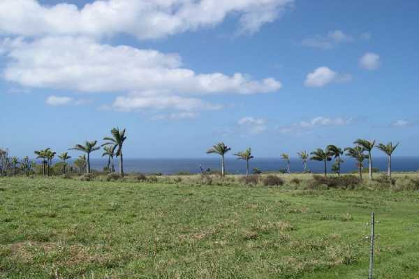 3 Puakea Bay Road Kamuela, HI 96743 - Photo 2 of 8 Gallery Image 2