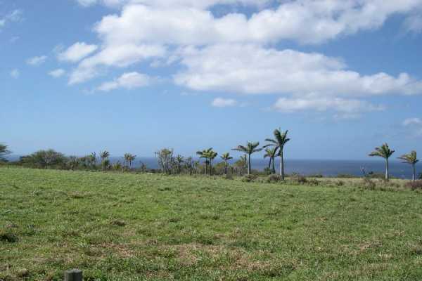 3 Puakea Bay Road Kamuela, HI 96743 - Photo 3 of 8 Gallery Image 3