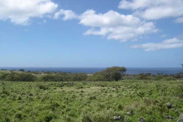 3 Puakea Bay Road Kamuela, HI 96743 - Photo 6 of 8 Gallery Image 6