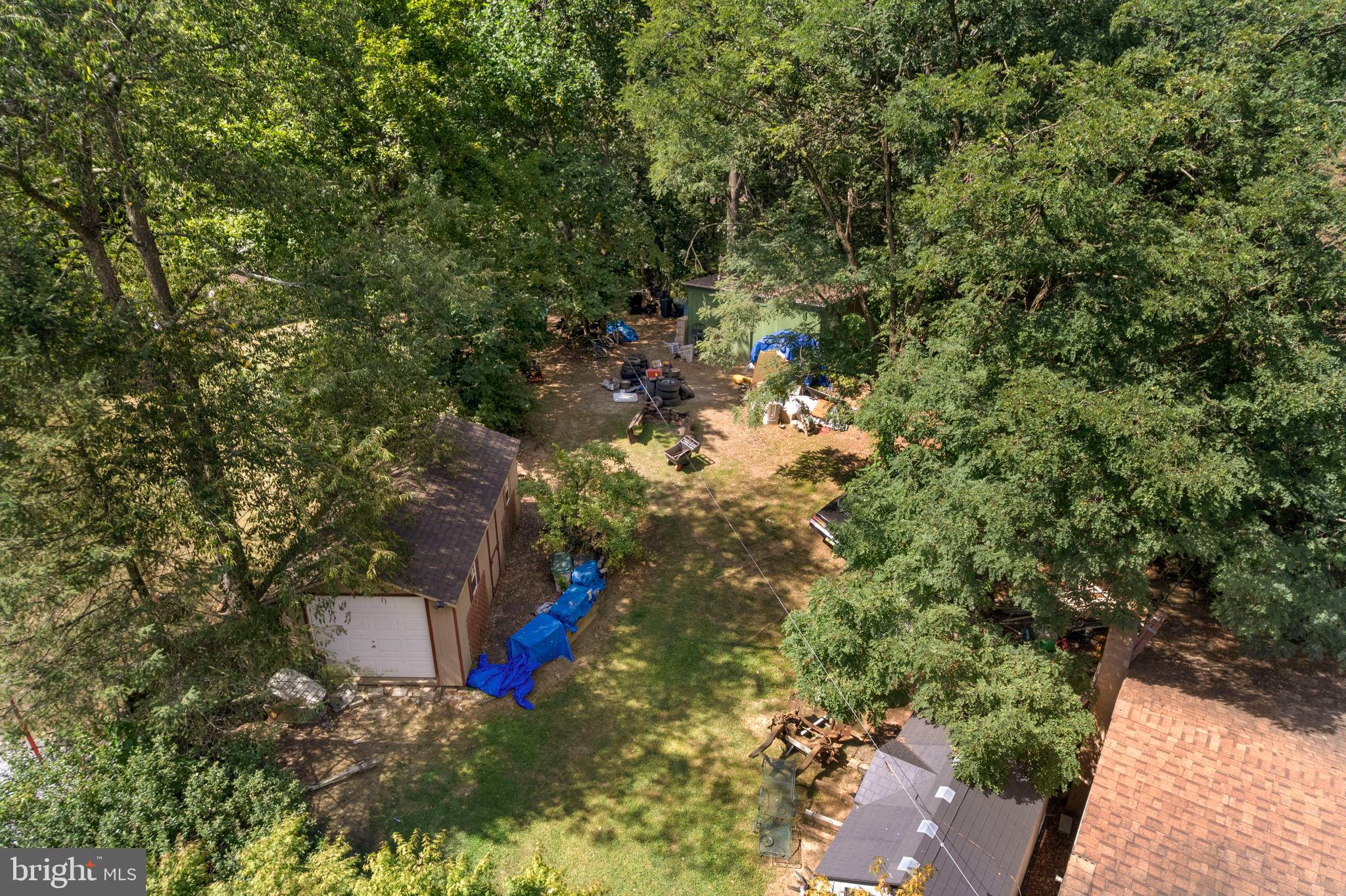 52 Carol Lane Malvern, PA 19355 - Photo 12 of 14 a view of a tree in a yard