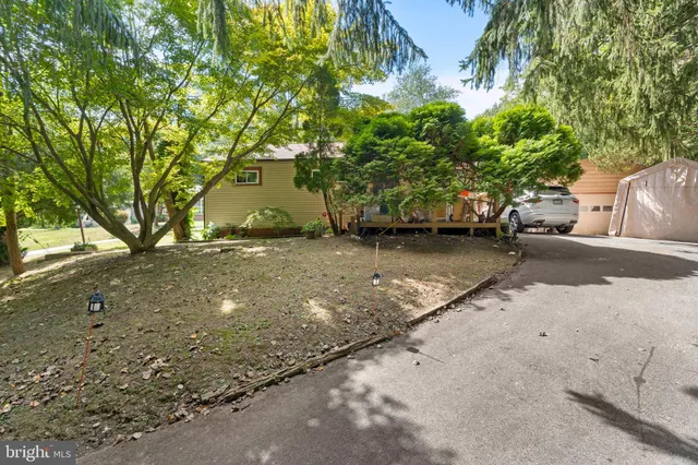 a view of a yard with a tree