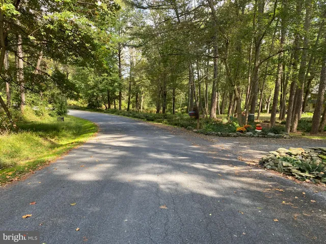 a view of yard with trees