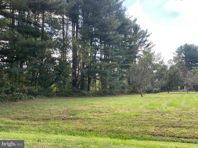 a view of a pool with a yard
