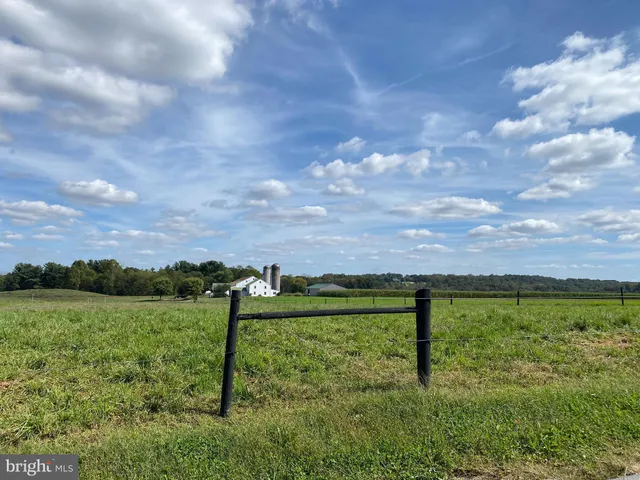 a view of a big yard with a large tree