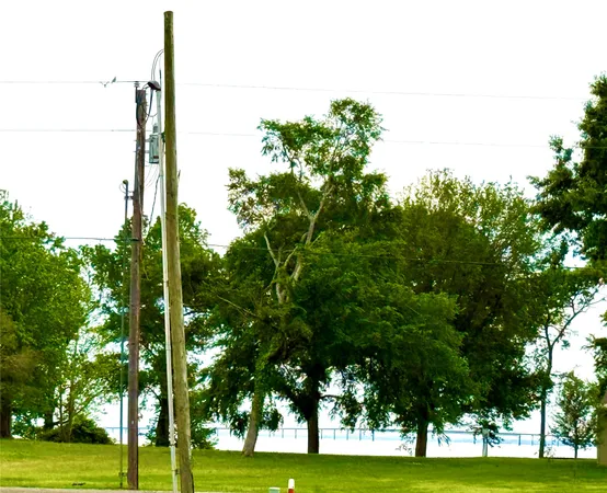 $45,000 | Tbd Pearl Court, Onalaska, TX 77360