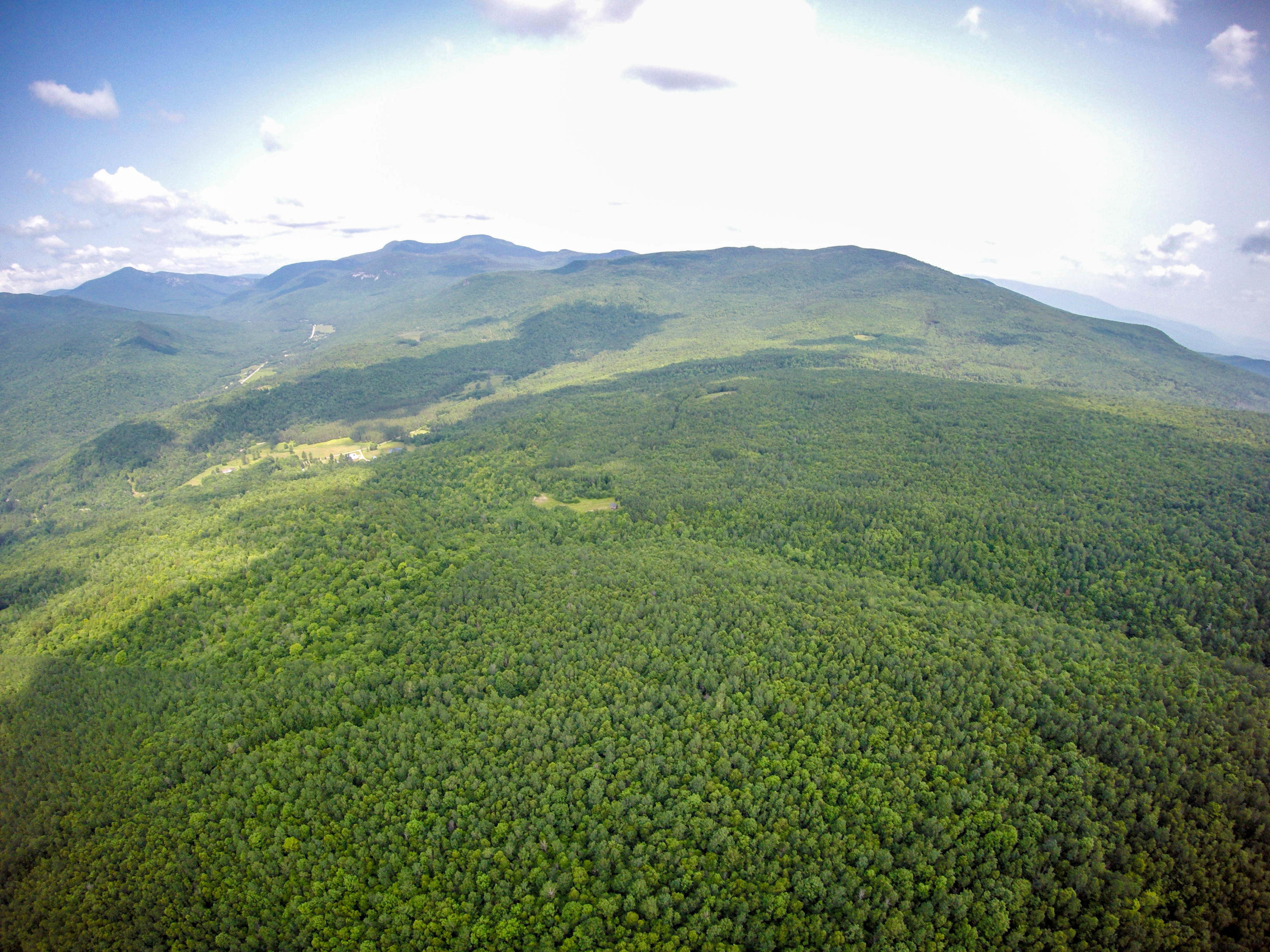 Lot 2 Puzzle Mountain Road Newry, ME 04261 - Photo 11 of 25 Bob Stewart Land-14