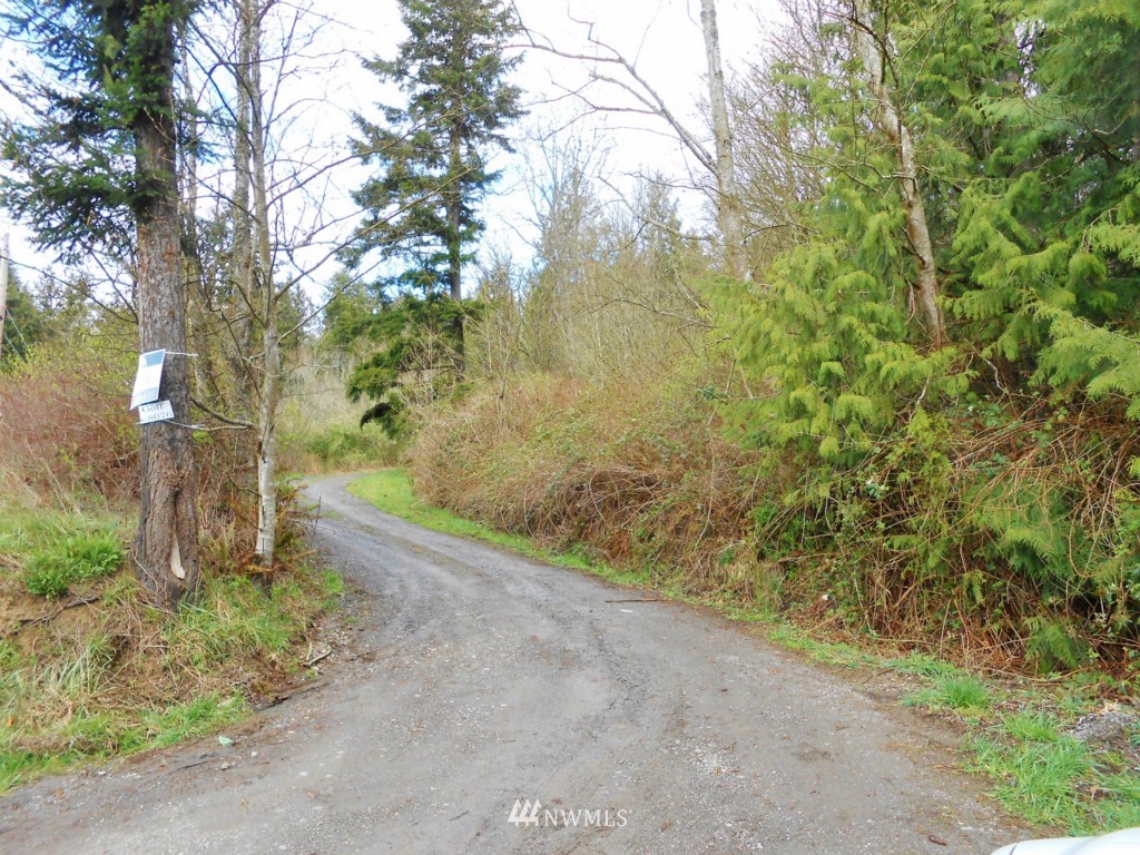 57-xx Beaver Valley Road Port Ludlow, WA 98365 - Photo 3 of 20