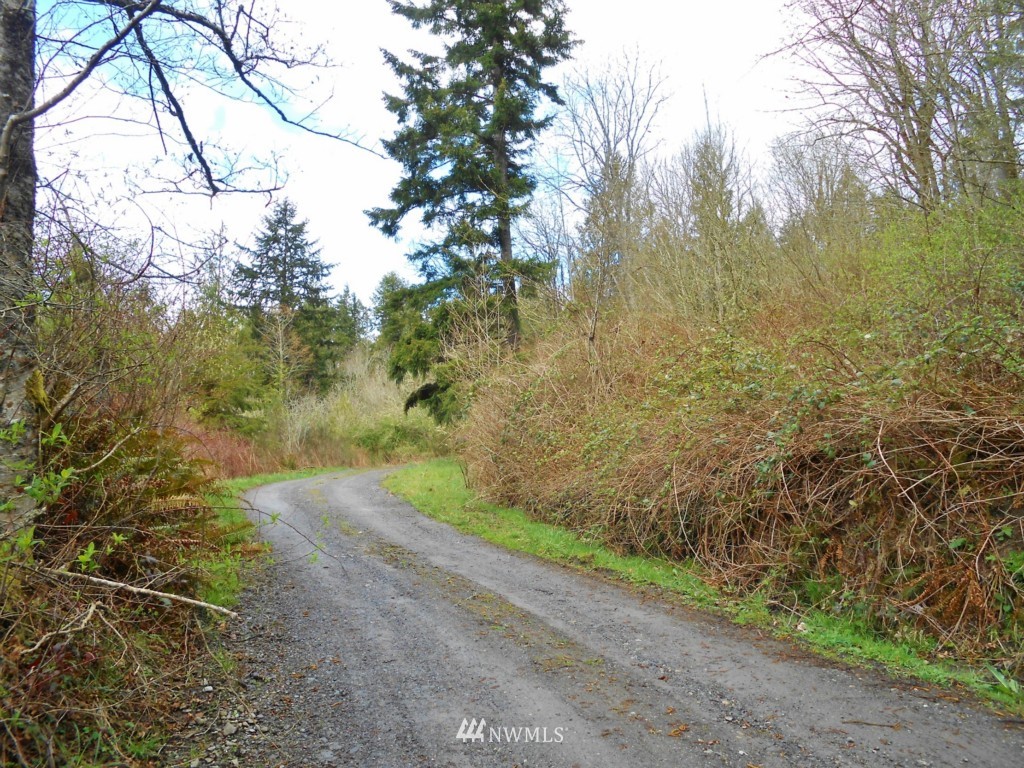 57-xx Beaver Valley Road Port Ludlow, WA 98365 - Photo 4 of 20