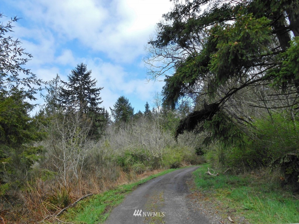 57-xx Beaver Valley Road Port Ludlow, WA 98365 - Photo 5 of 20