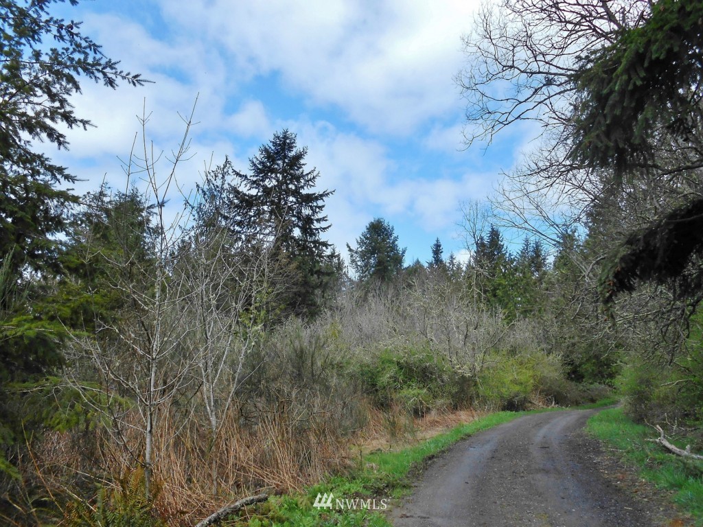 57-xx Beaver Valley Road Port Ludlow, WA 98365 - Photo 6 of 20
