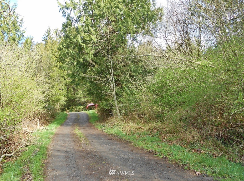 57-xx Beaver Valley Road Port Ludlow, WA 98365 - Photo 7 of 20