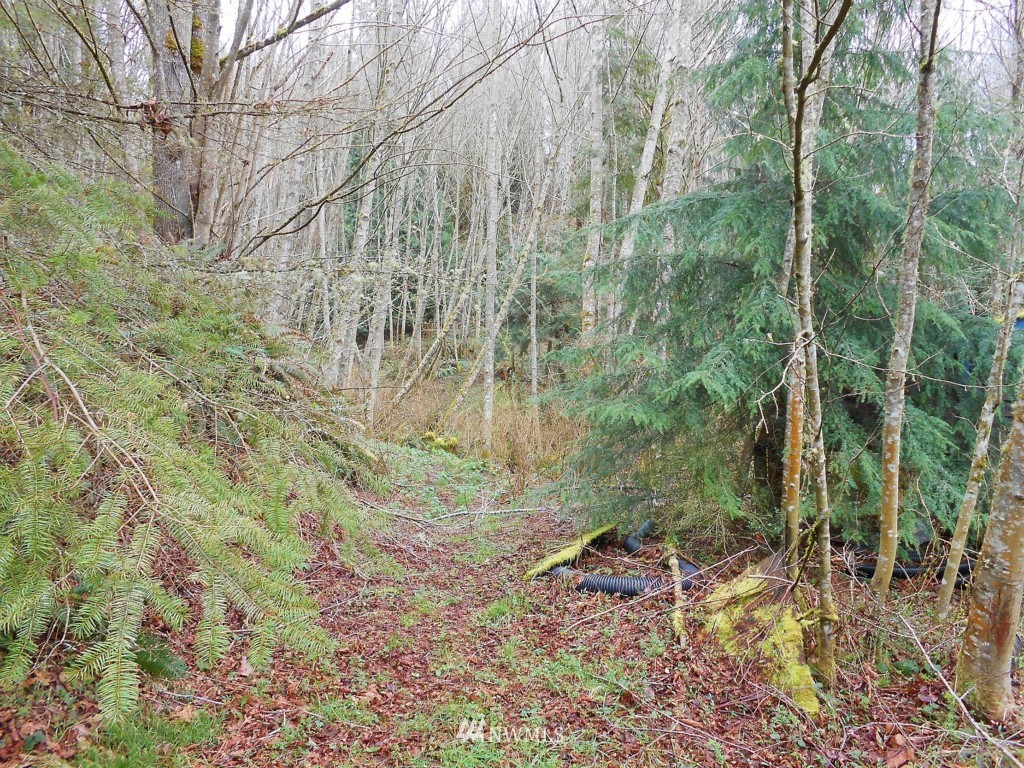 57-xx Beaver Valley Road Port Ludlow, WA 98365 - Photo 10 of 20