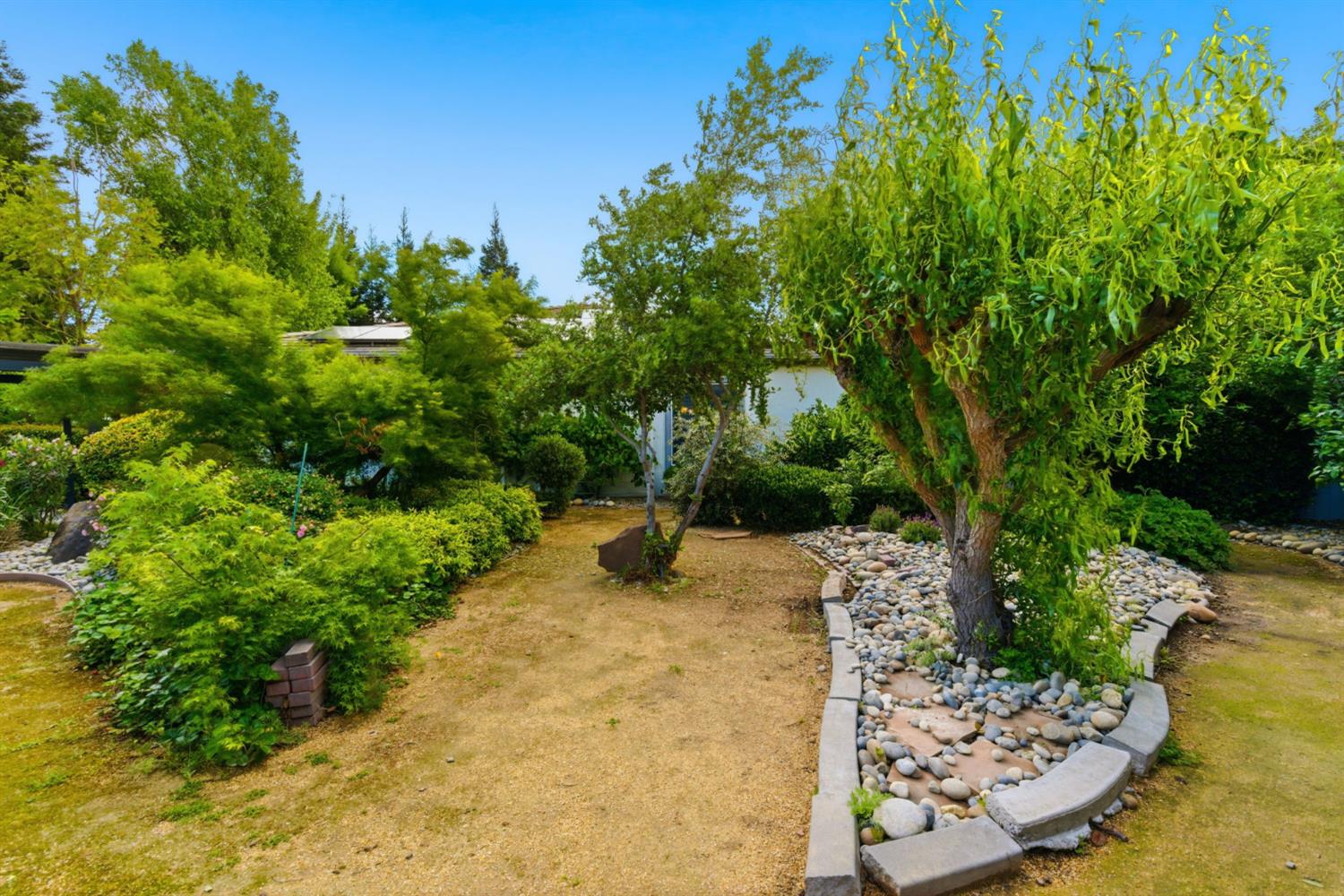 2499 Appleleaf Lane Manteca, CA 95336 - Photo 41 of 55 a view of a garden with plants