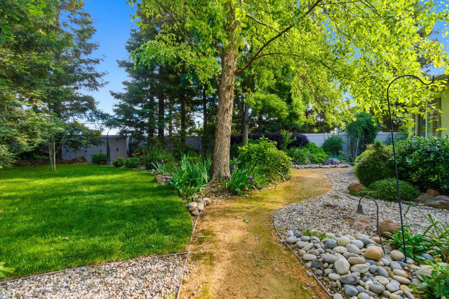 2499 Appleleaf Lane Manteca, CA 95336 - Photo 46 of 55 a view of a yard with plants and trees