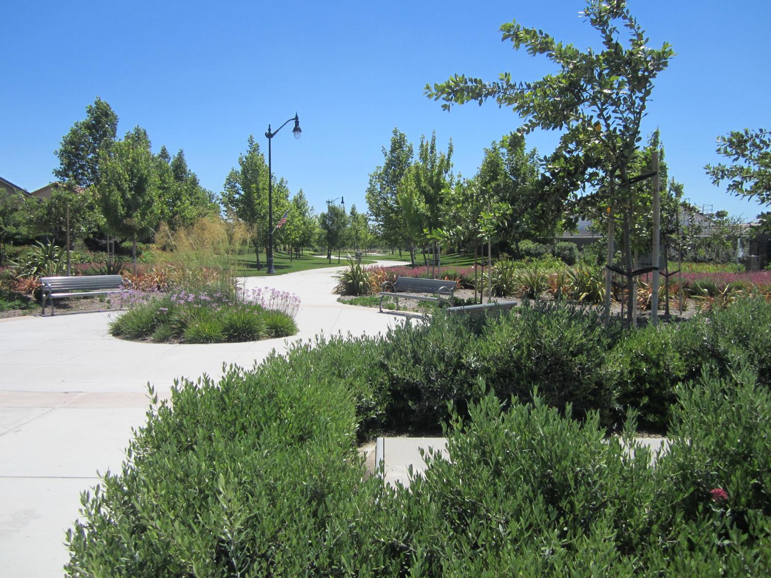 2499 Appleleaf Lane Manteca, CA 95336 - Photo 53 of 55 a view of a lake view