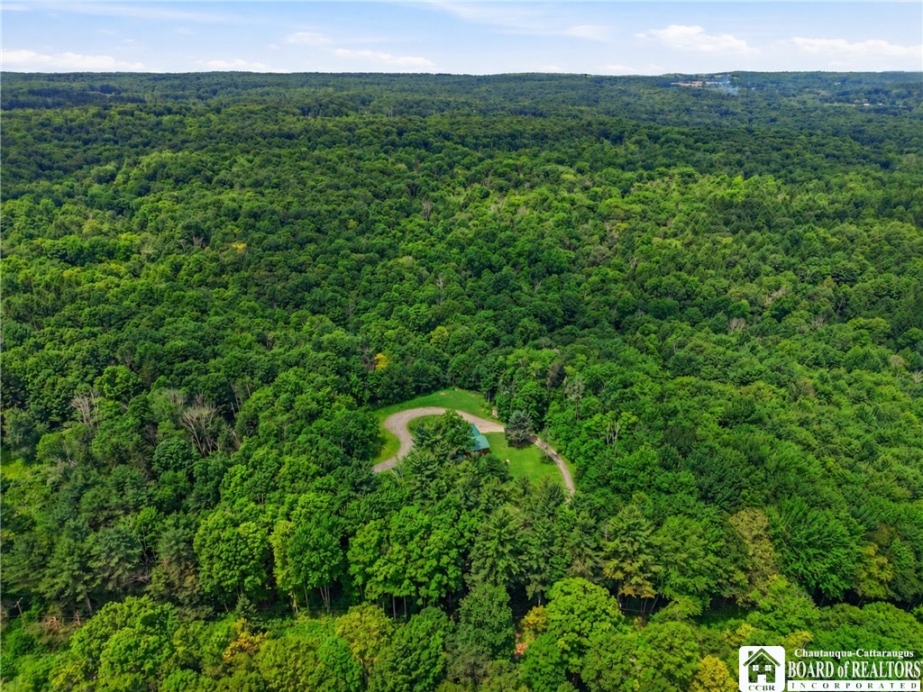 5689 Fenner Road Stockton, NY 14782 - Photo 47 of 50