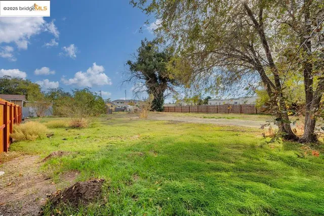 a view of yard with tree and wooden fence