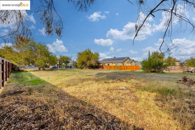 a view of a yard with a tree