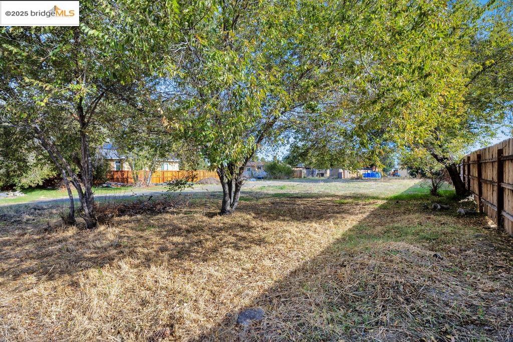 64 South Bella Monte Avenue Bay Point, CA 94565 - Photo 17 of 38 a view of a yard with a tree