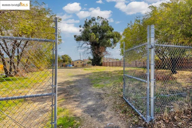 a view of a porch with a tree