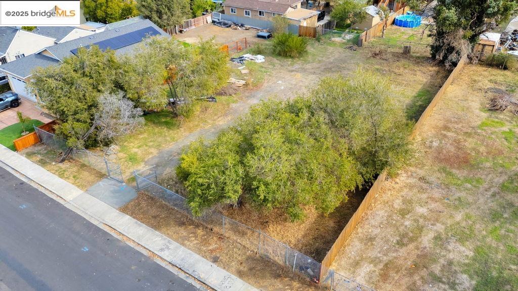 64 South Bella Monte Avenue Bay Point, CA 94565 - Photo 34 of 38 a view of banana area