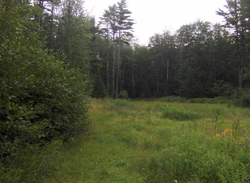 234 Bears Den Road Wells, ME 04090 - Photo 6 of 10 Property
