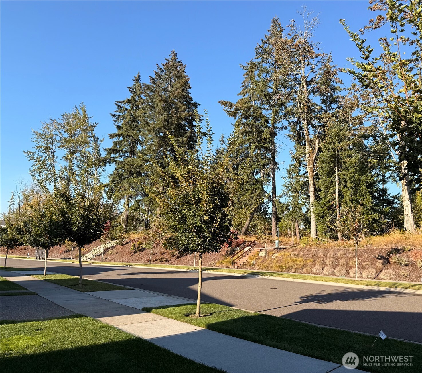15412 Paradise Ridge East Bonney Lake, WA 98391 - Photo 34 of 38 Gallery Image 34
