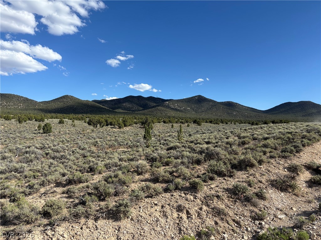 Off Of Lackawana Road Ely, NV 89301 - Photo 11 of 13 Uninterrupted mountain views define this scenic, sprawling desert landscape.