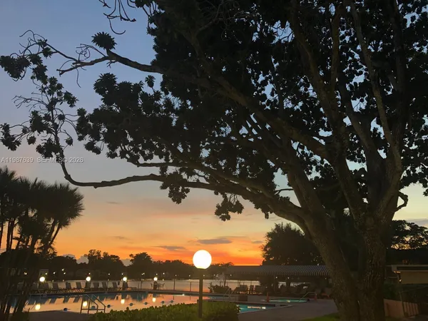 a view of a park with large trees