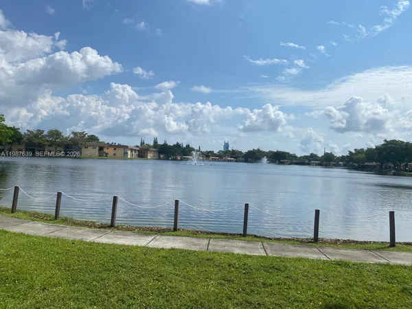 a view of a lake with a palm tree