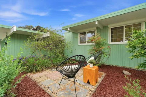 a view of a backyard with plants and a patio