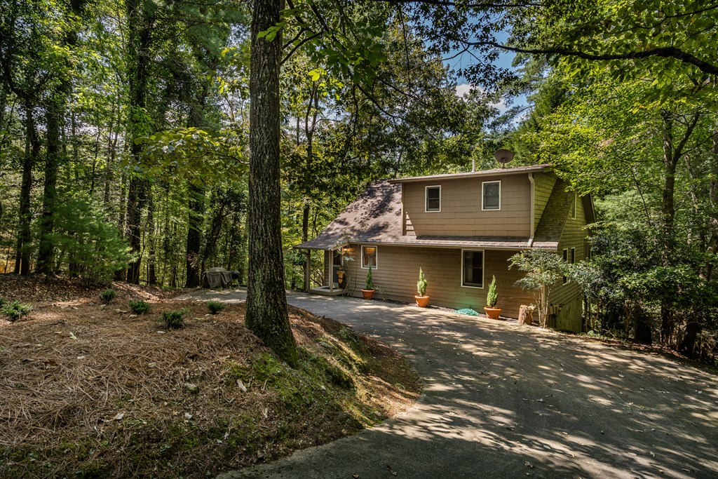 263 Indian Cave Road Ellijay, GA 30536 - Photo 41 of 50