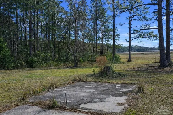 a view of swimming pool with trees