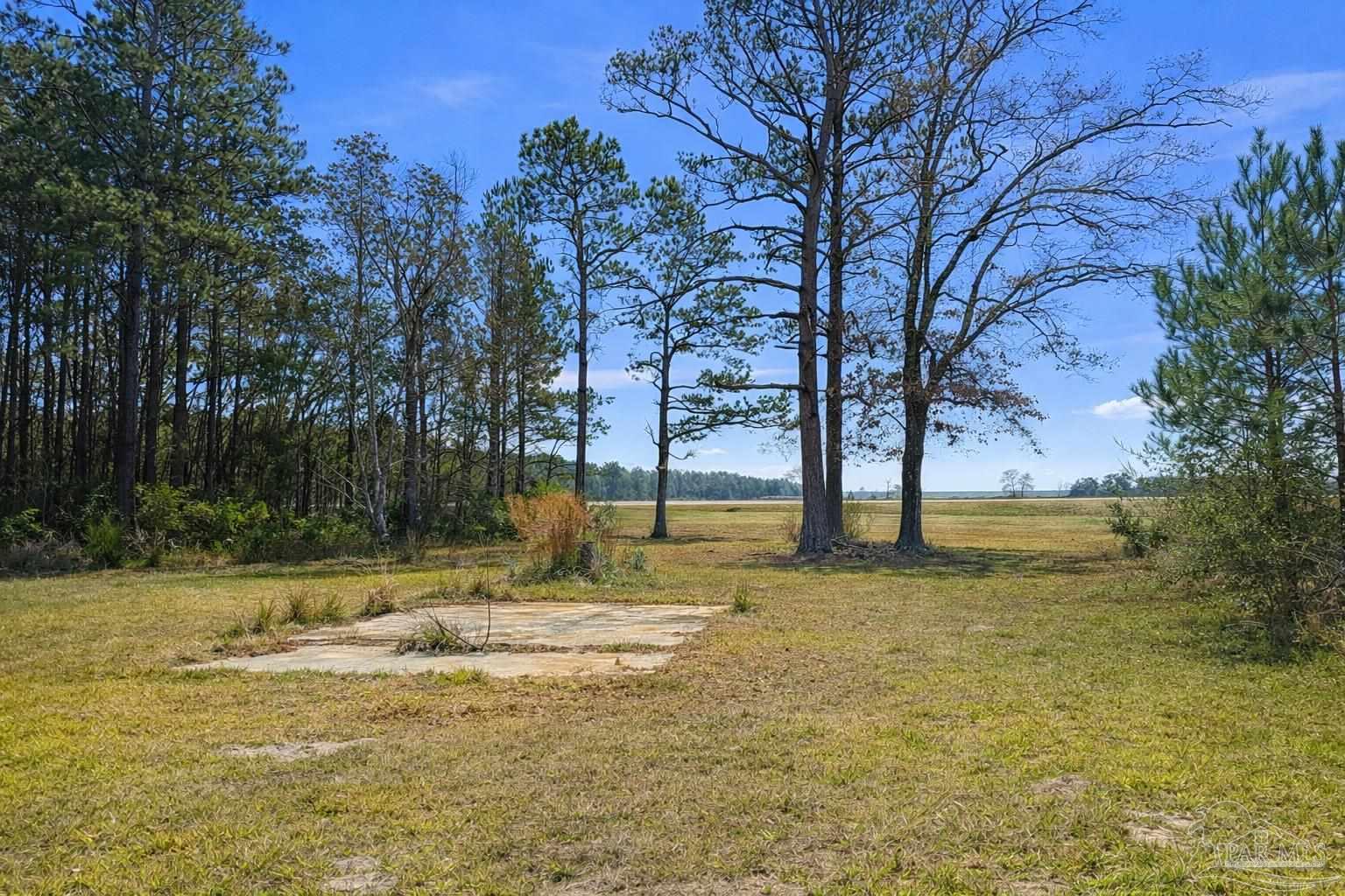 818 Twin Bridges Road Flomaton, AL 36441 - Photo 26 of 33 a view of swimming pool with trees
