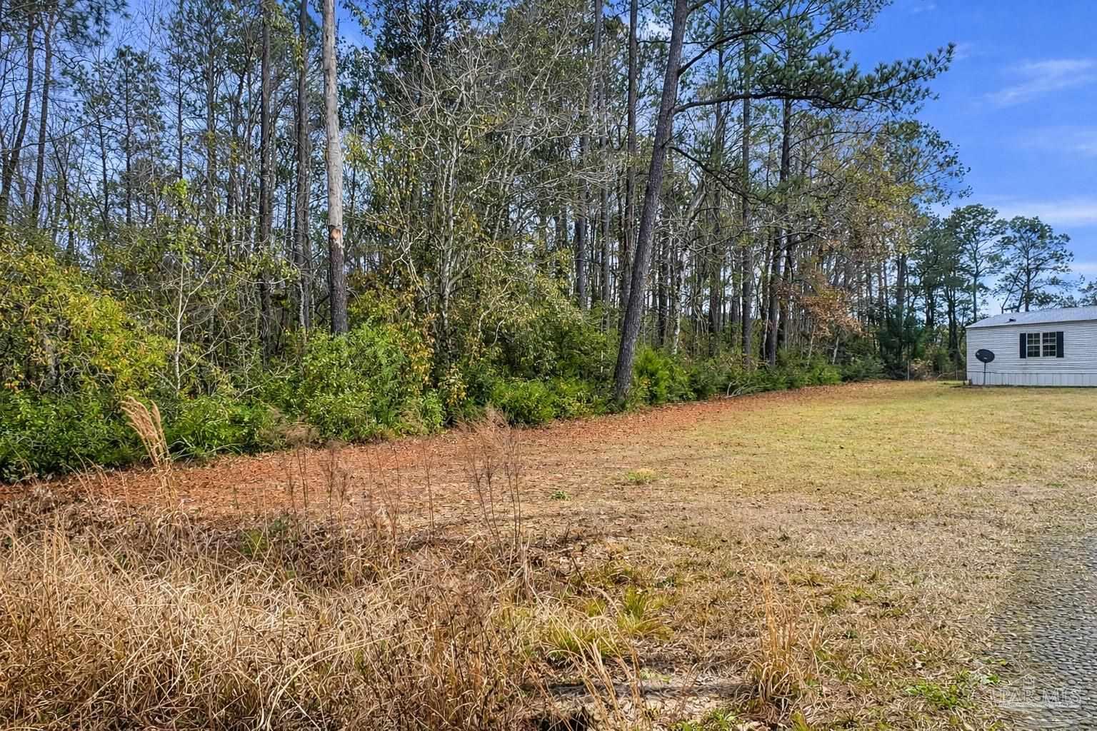 818 Twin Bridges Road Flomaton, AL 36441 - Photo 28 of 33 a view of a yard with trees